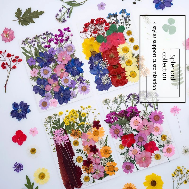 Mixed Dried Flowers, Pressed F - The Plant Parent ulasan dan harga